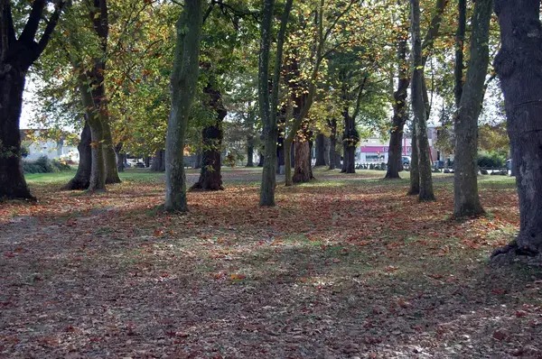 Abri Piscine Coulissant Devis abri de piscine Idron