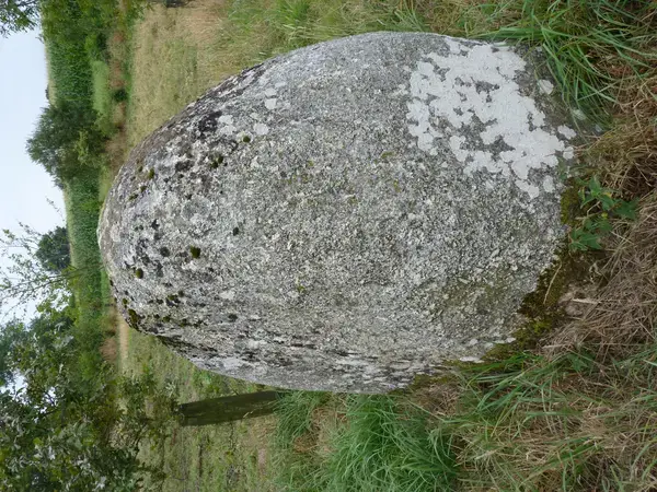 Abri Piscine Coulissant Devis abri de piscine Plaintel